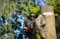 Blacktown Tree Services image 5